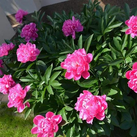 Na Kamiennej Rum i privatbostad *