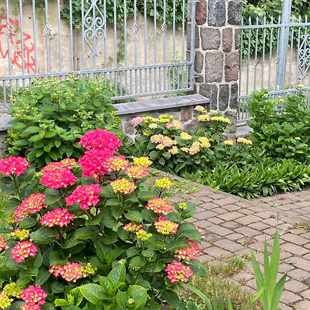 Na Kamiennej * Gdynia