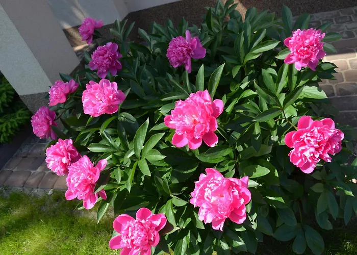 Na Kamiennej Homestay *